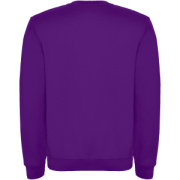 Clasica unisex sveter s výstrihom crewneck - Roly
