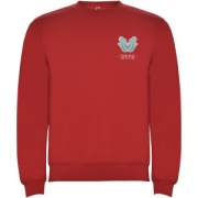 Clasica unisex sveter s výstrihom crewneck - Roly