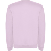 Clasica unisex sveter s výstrihom crewneck - Roly