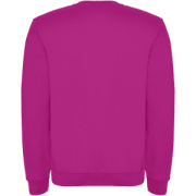 Clasica unisex sveter s výstrihom crewneck - Roly