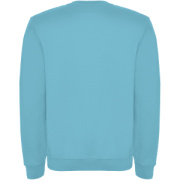 Clasica unisex sveter s výstrihom crewneck - Roly