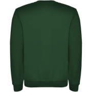 Clasica unisex sveter s výstrihom crewneck - Roly