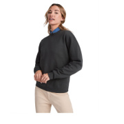 Clasica unisex sveter s výstrihom crewneck - Roly