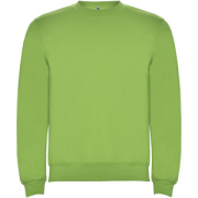 Clasica unisex sveter s výstrihom crewneck - Roly