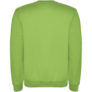 Clasica unisex sveter s výstrihom crewneck - Roly