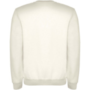 Clasica unisex sveter s výstrihom crewneck - Roly