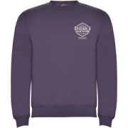 Clasica unisex sveter s výstrihom crewneck - Roly