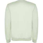 Clasica unisex sveter s výstrihom crewneck - Roly