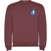 Clasica unisex sveter s výstrihom crewneck - Roly