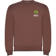 Clasica unisex sveter s výstrihom crewneck - Roly