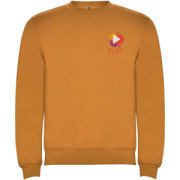 Clasica unisex sveter s výstrihom crewneck - Roly