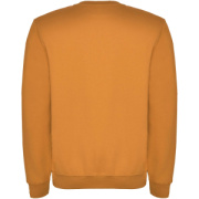 Clasica unisex sveter s výstrihom crewneck - Roly