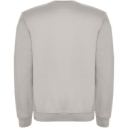 Clasica unisex sveter s výstrihom crewneck - Roly