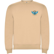 Clasica unisex sveter s výstrihom crewneck - Roly