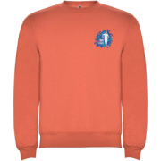 Clasica unisex sveter s výstrihom crewneck - Roly