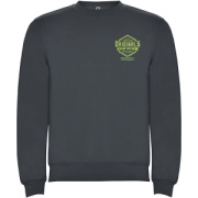 Clasica unisex sveter s výstrihom crewneck - Roly