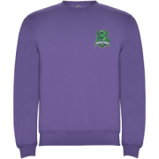 Clasica unisex sveter s výstrihom crewneck - Roly