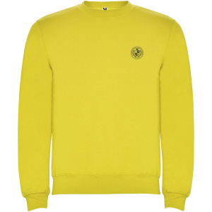 Clasica detský sveter s výstrihom crewneck