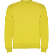Clasica detský sveter s výstrihom crewneck - Roly