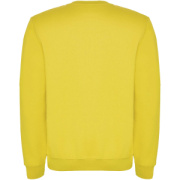 Clasica detský sveter s výstrihom crewneck - Roly