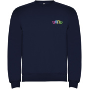 Clasica detský sveter s výstrihom crewneck - Roly