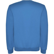 Clasica detský sveter s výstrihom crewneck - Roly