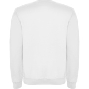 Clasica detský sveter s výstrihom crewneck - Roly