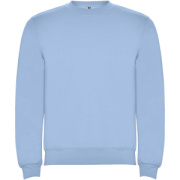 Clasica detský sveter s výstrihom crewneck - Roly