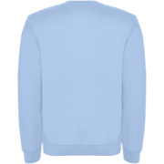 Clasica detský sveter s výstrihom crewneck - Roly
