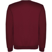 Clasica detský sveter s výstrihom crewneck - Roly