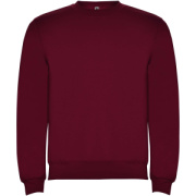 Clasica detský sveter s výstrihom crewneck - Roly