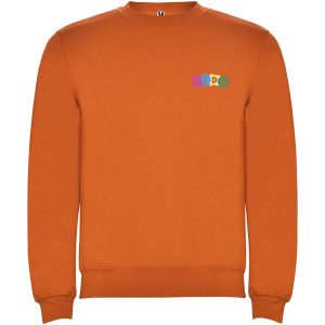 Clasica detský sveter s výstrihom crewneck
