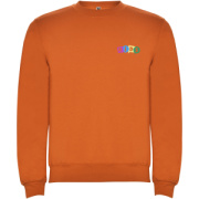 Clasica detský sveter s výstrihom crewneck