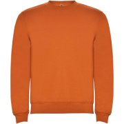 Clasica detský sveter s výstrihom crewneck - Roly