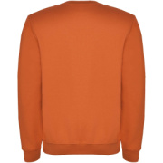 Clasica detský sveter s výstrihom crewneck - Roly