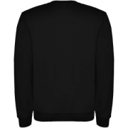 Clasica detský sveter s výstrihom crewneck - Roly