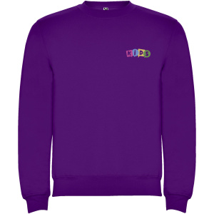 Clasica detský sveter s výstrihom crewneck