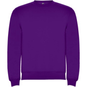Clasica detský sveter s výstrihom crewneck - Roly