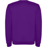 Clasica detský sveter s výstrihom crewneck - Roly