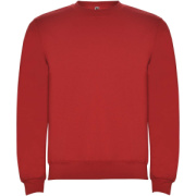 Clasica detský sveter s výstrihom crewneck - Roly