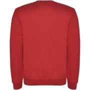 Clasica detský sveter s výstrihom crewneck - Roly