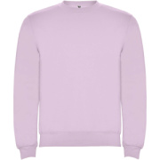 Clasica detský sveter s výstrihom crewneck - Roly