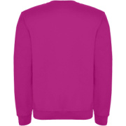 Clasica detský sveter s výstrihom crewneck - Roly