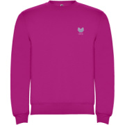 Clasica detský sveter s výstrihom crewneck - Roly
