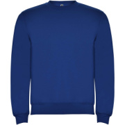 Clasica detský sveter s výstrihom crewneck - Roly