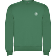 Clasica detský sveter s výstrihom crewneck - Roly