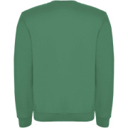 Clasica detský sveter s výstrihom crewneck - Roly