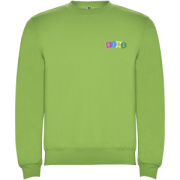 Clasica detský sveter s výstrihom crewneck - Roly – oázová zelená – náhľad 2