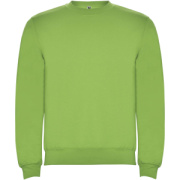 Clasica detský sveter s výstrihom crewneck - Roly