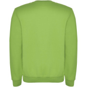 Clasica detský sveter s výstrihom crewneck - Roly